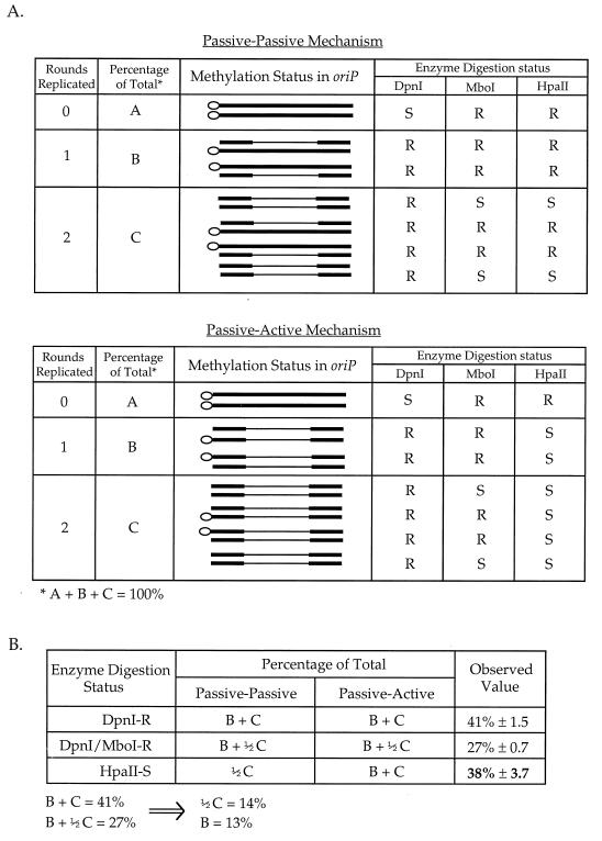 FIG. 8