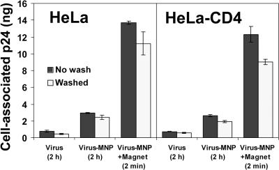 FIG. 1.