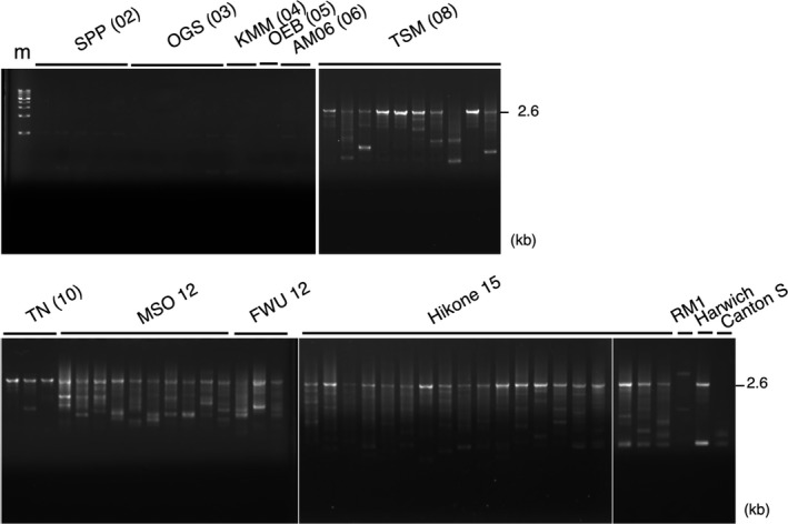 Figure 2