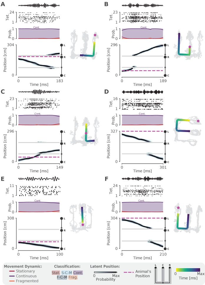 Figure 2—figure supplement 2.