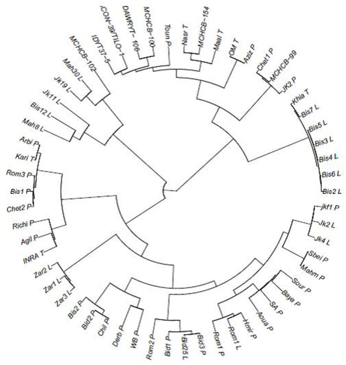 Figure 7