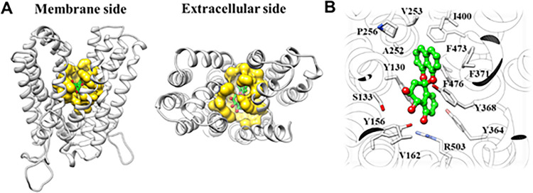 FIG 4