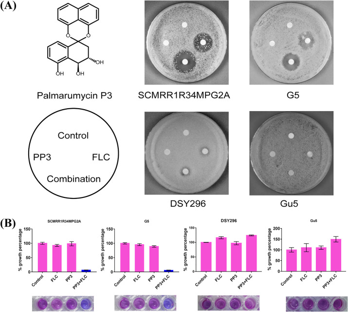 FIG 1