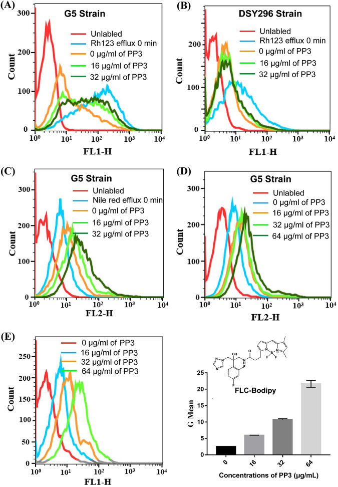 FIG 2