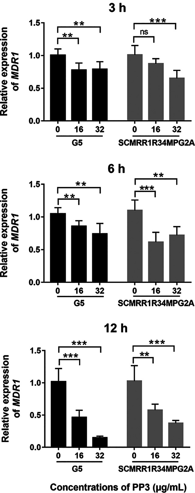 FIG 3