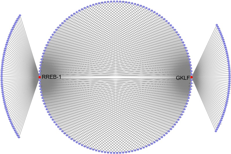 Fig. 5