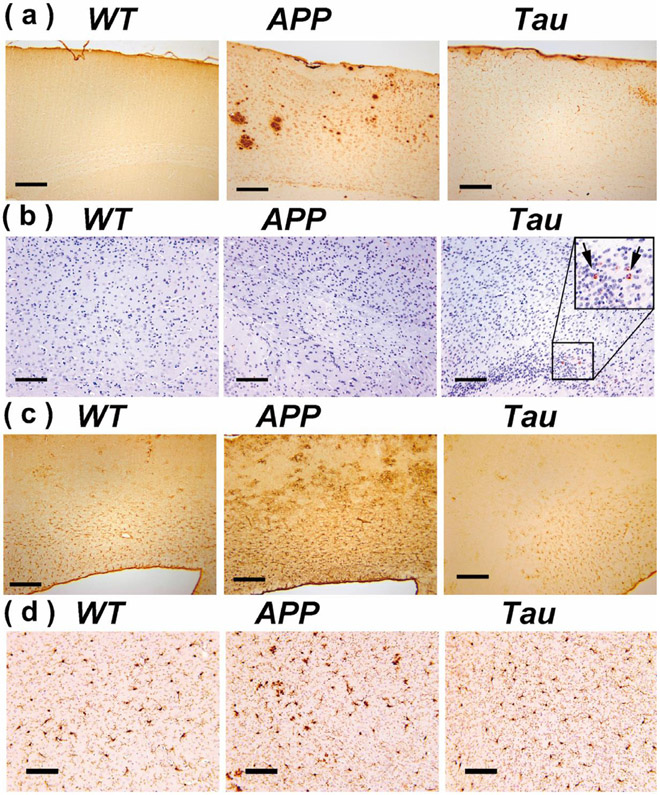 Fig 6.