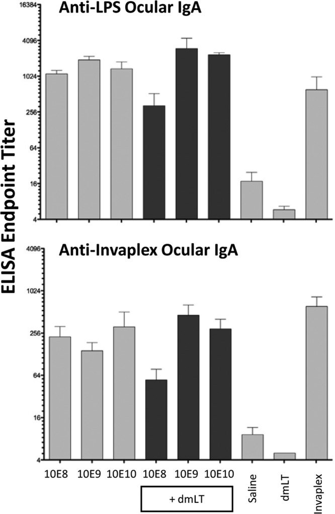 FIG 6