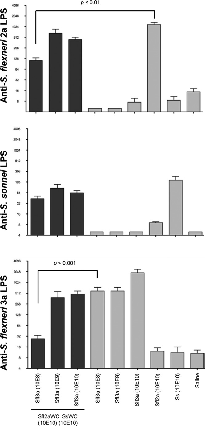 FIG 8