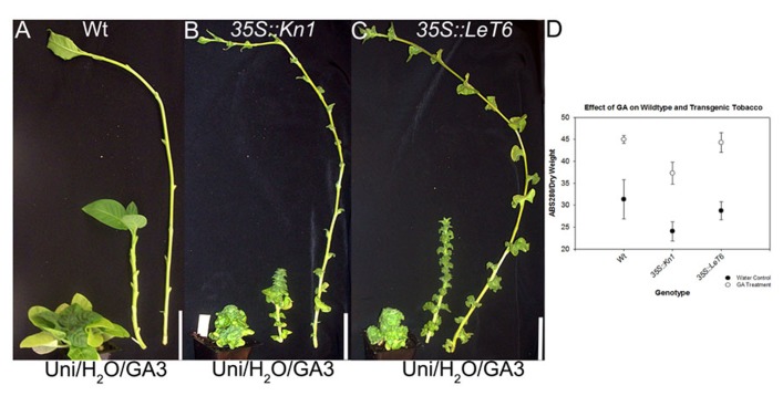 FIGURE 3