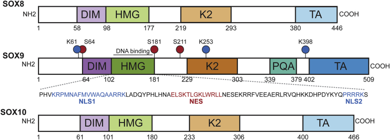 Figure 1