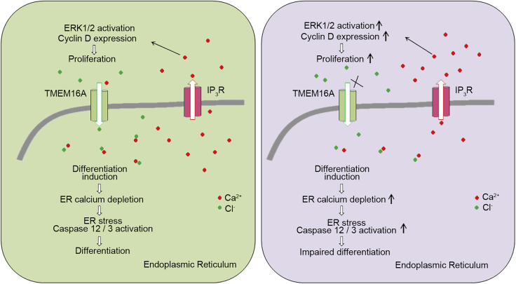 Figure 7