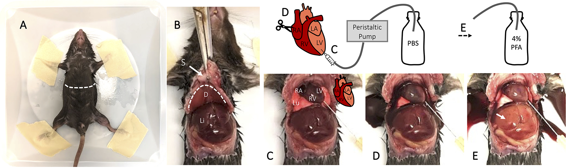 Fig 2.