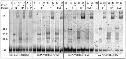 FIG. 6.