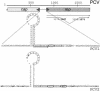 FIG. 1.