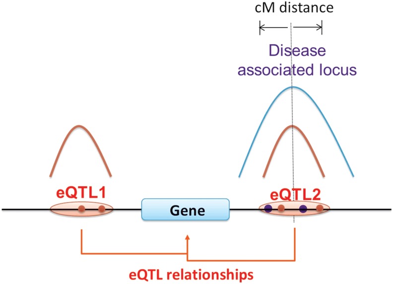 FIG. 2.