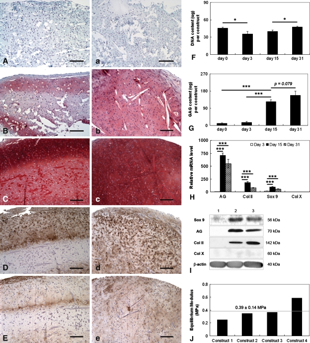 Fig. 2A–J