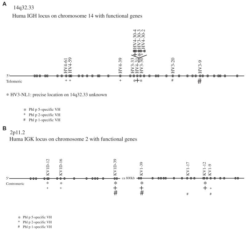 FIG 1