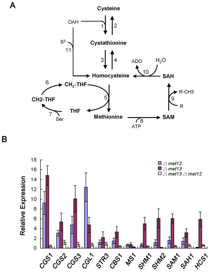 Figure 9