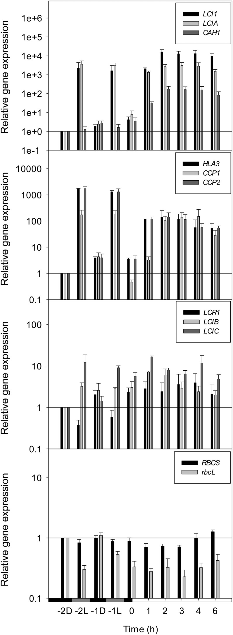 Figure 2.