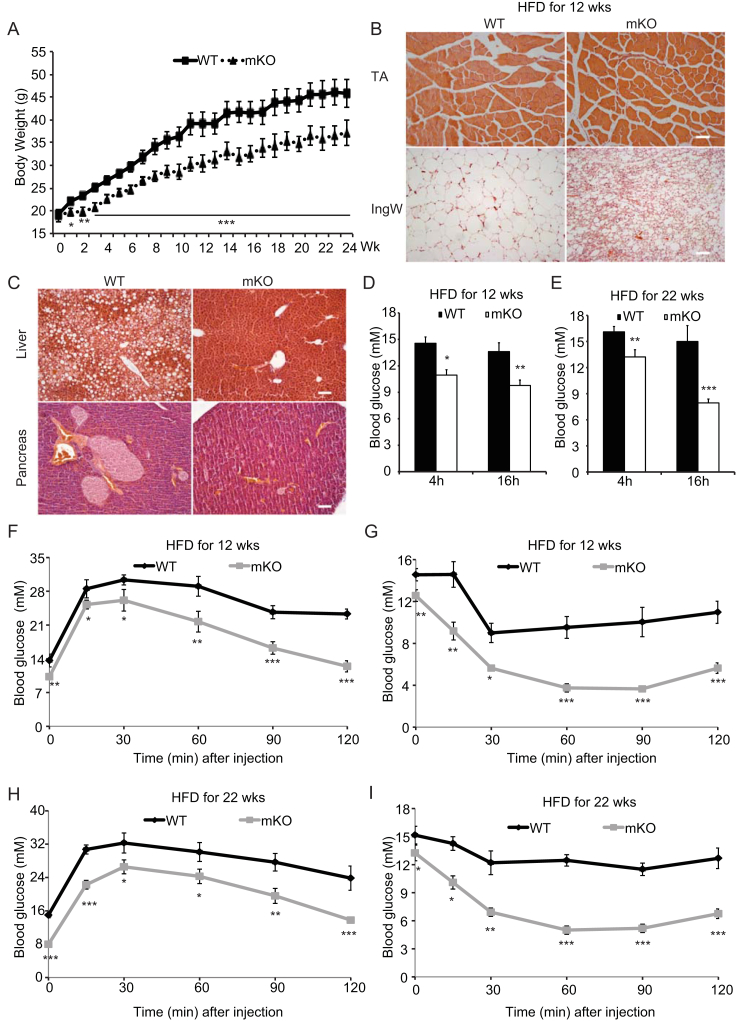 Figure 6