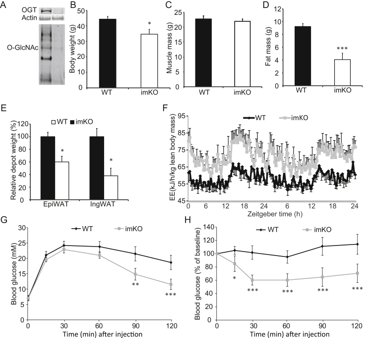 Figure 7