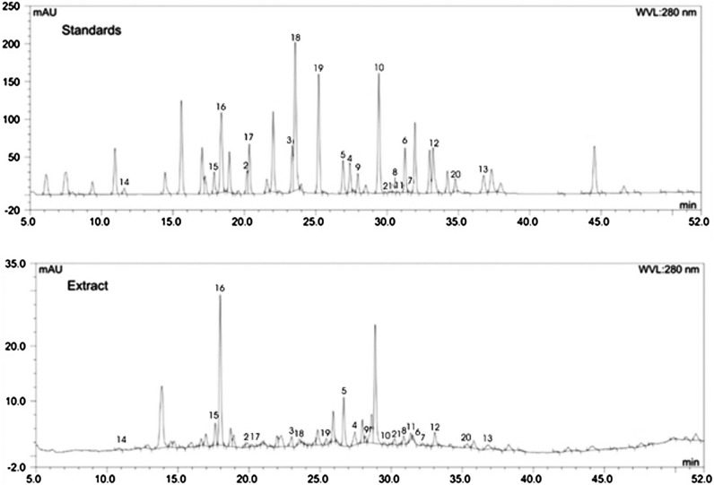 Fig. 4