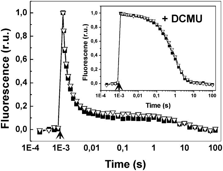 Fig. 4.