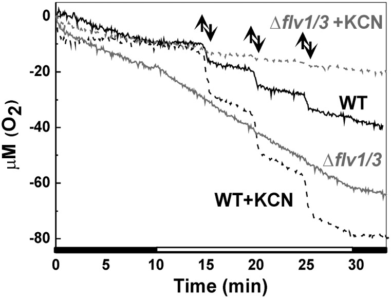 Fig. 3.