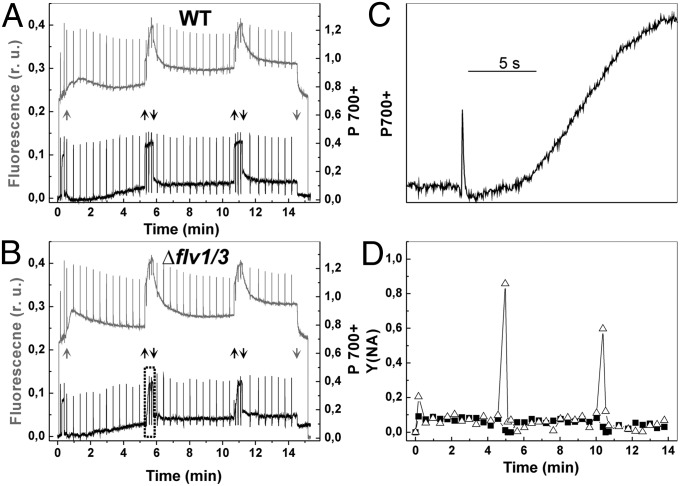 Fig. 6.