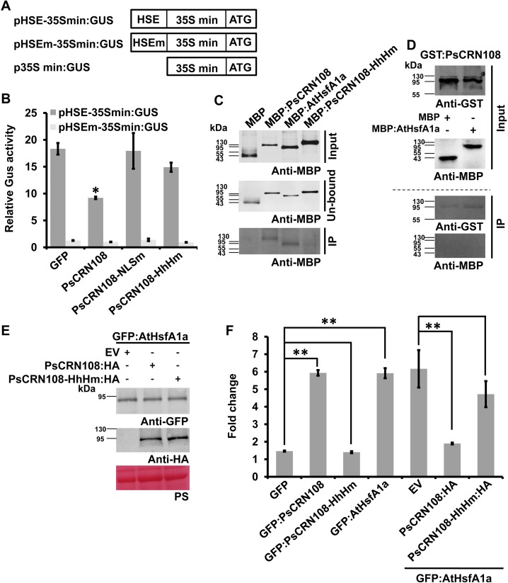 Fig 6