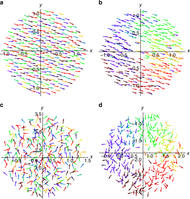 Fig. 10