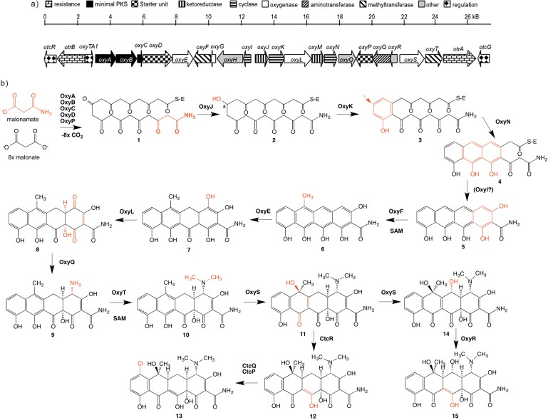 Fig. 4