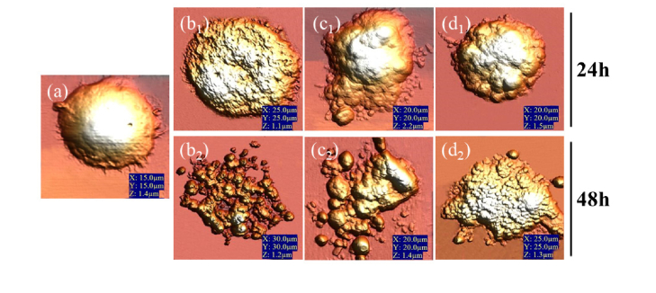 Fig. 3