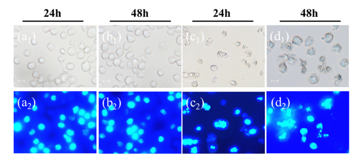 Fig. 16