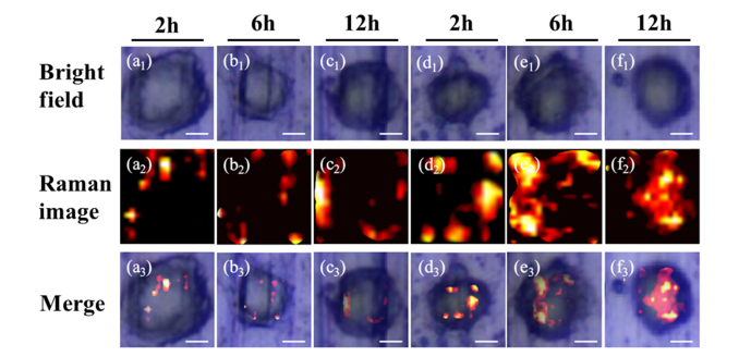 Fig. 15