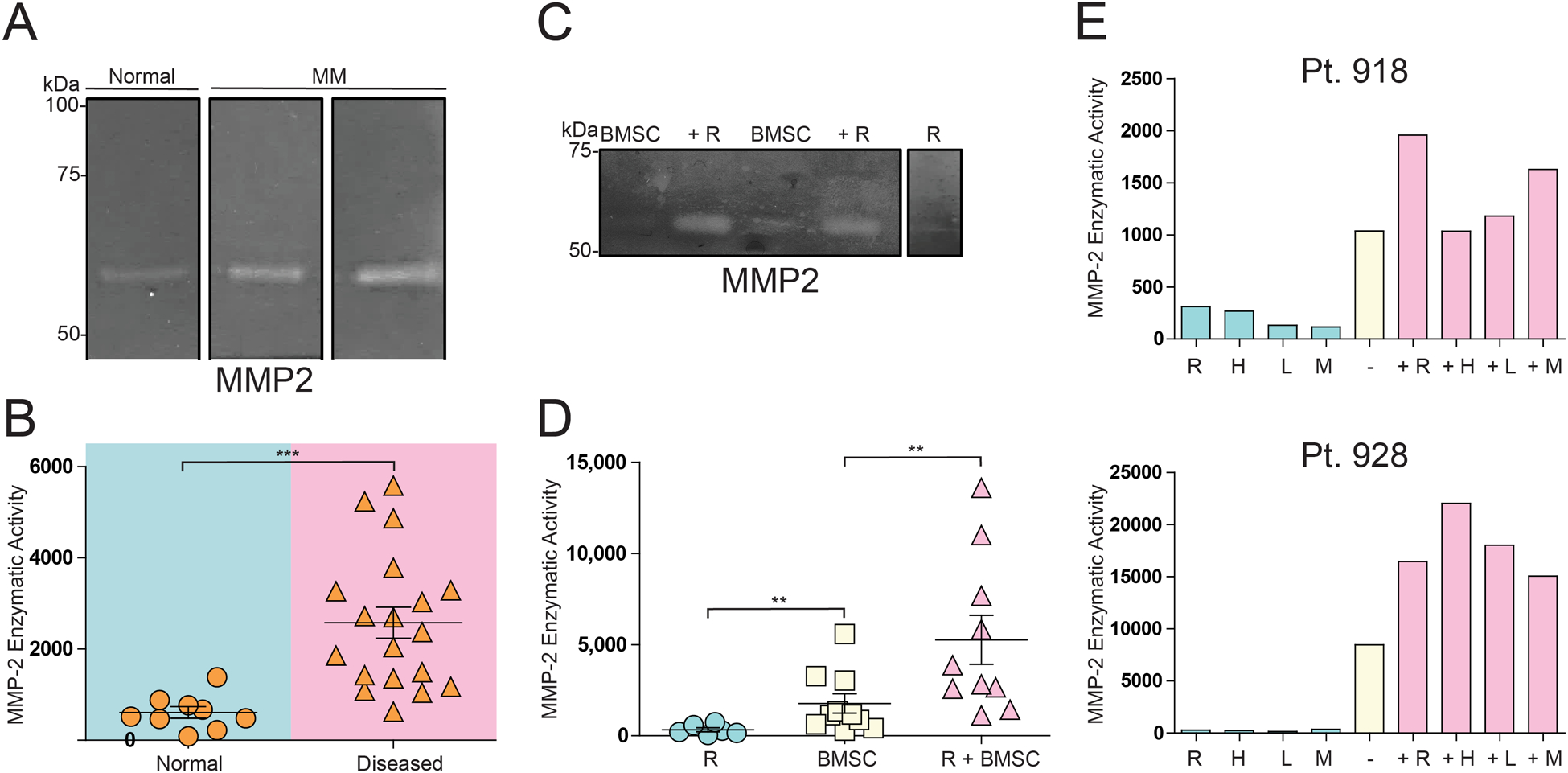 Figure 2: