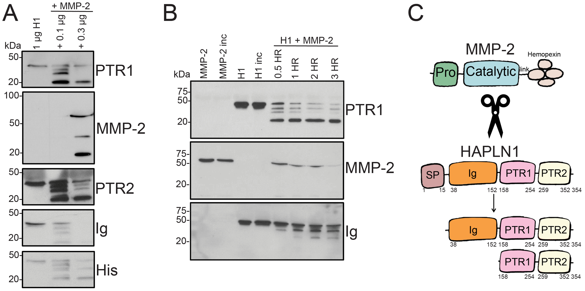 Figure 3: