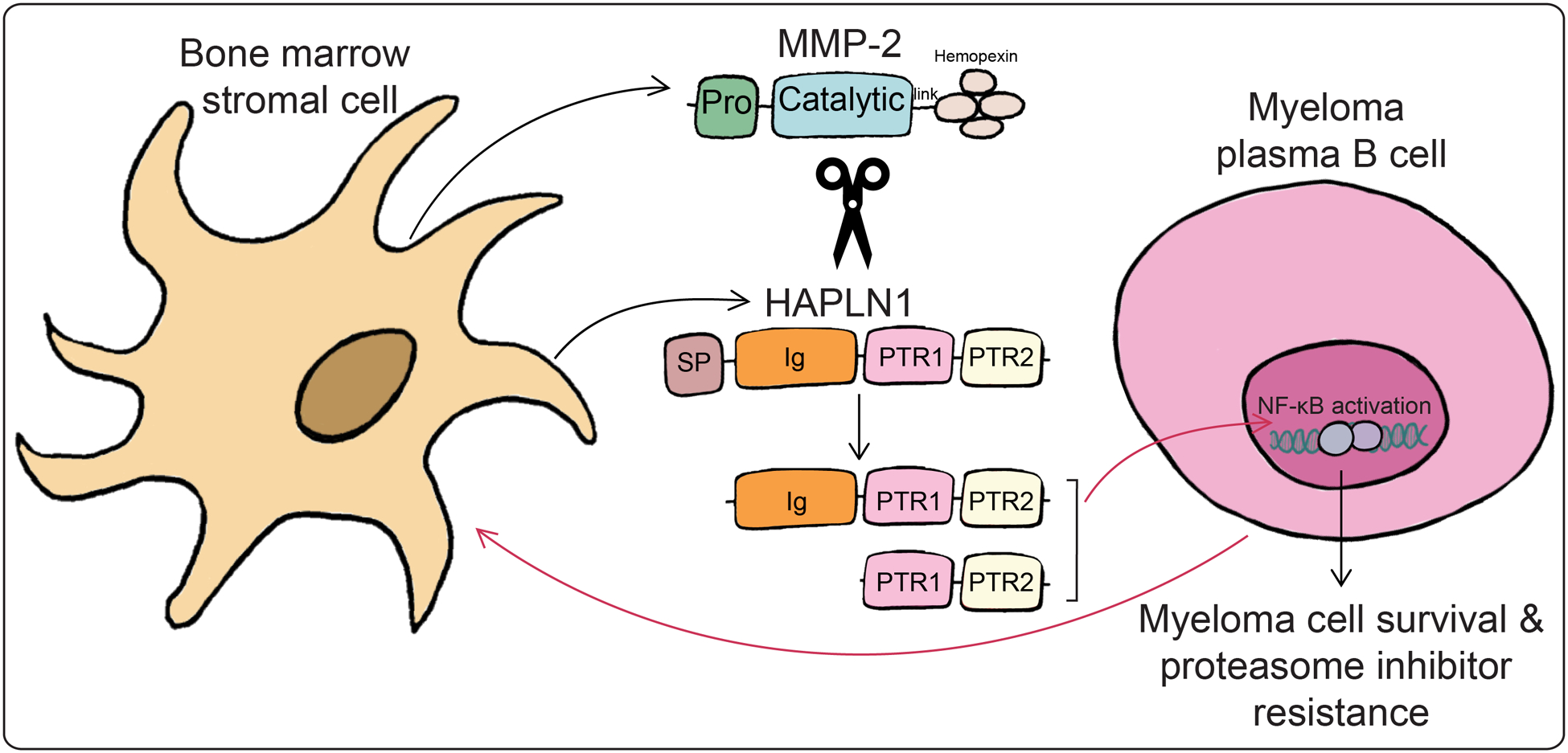 Figure 6: