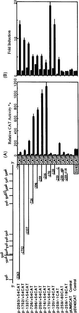 FIG. 6