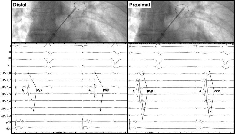 Figure 5