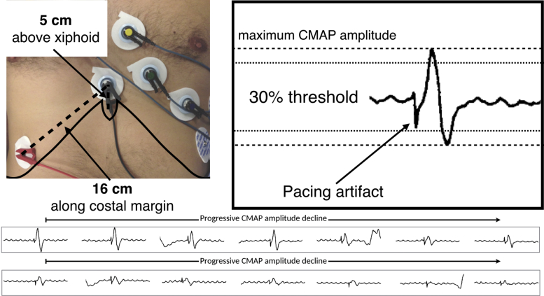 Figure 6