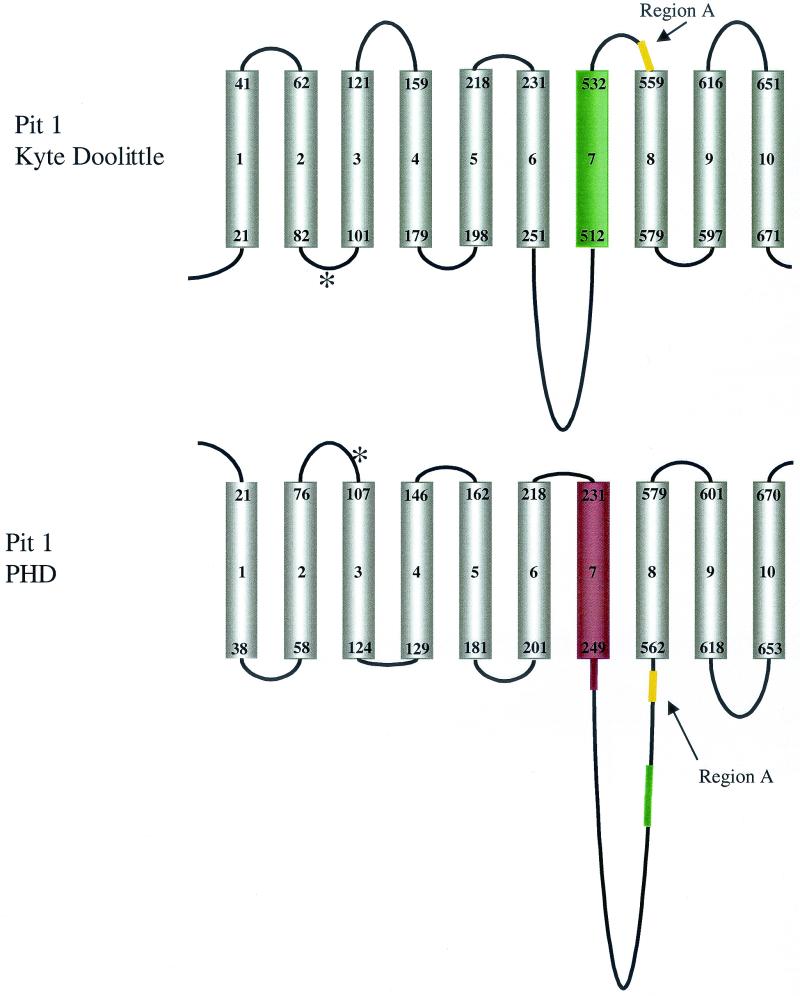 FIG. 8.