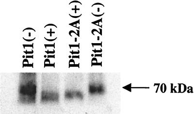 FIG. 7.