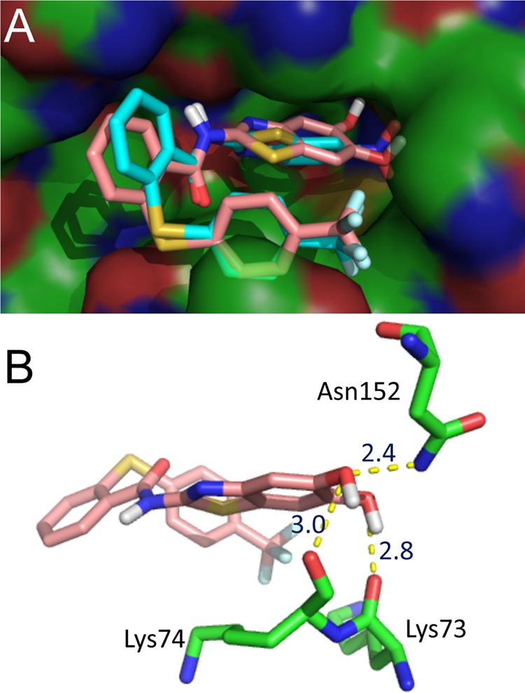 FIG 2