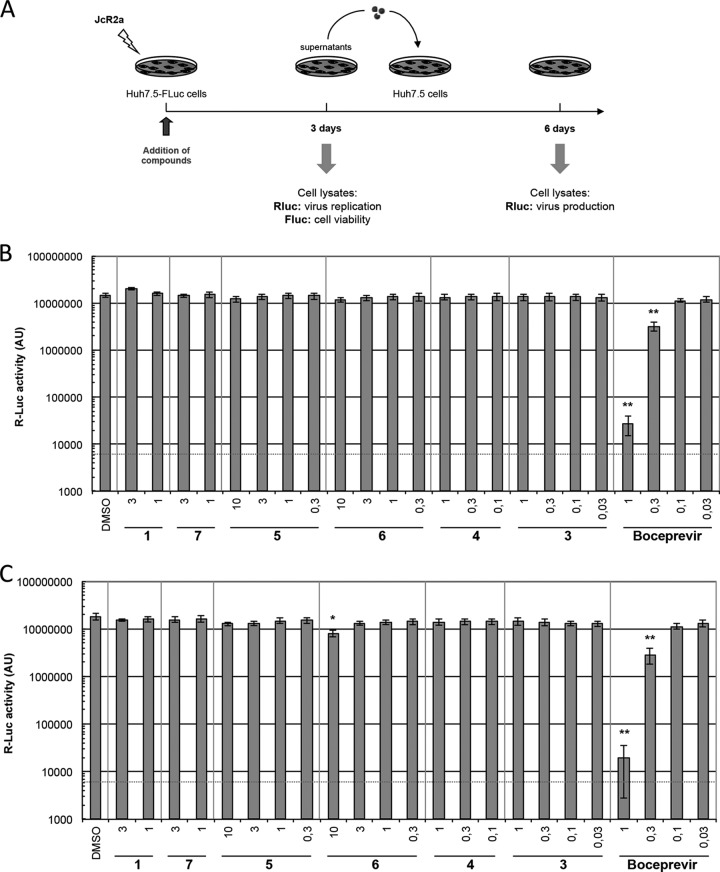 FIG 6