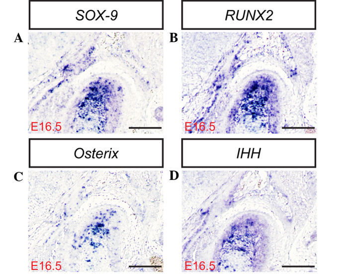 Figure 5.