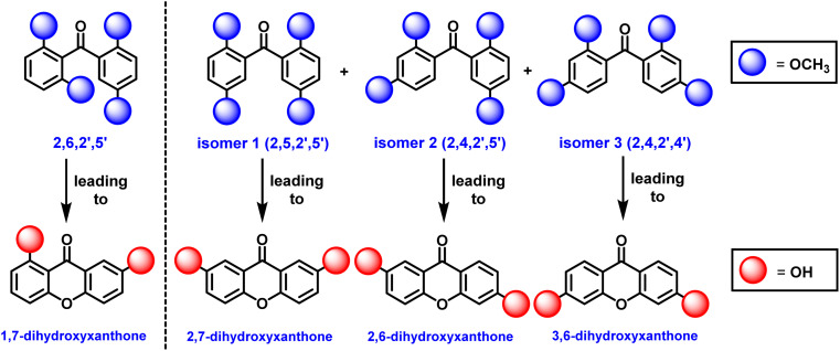 Scheme 3