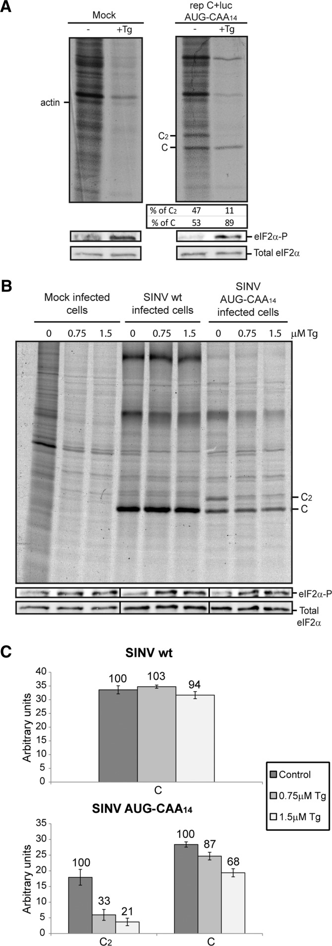 FIGURE 7.