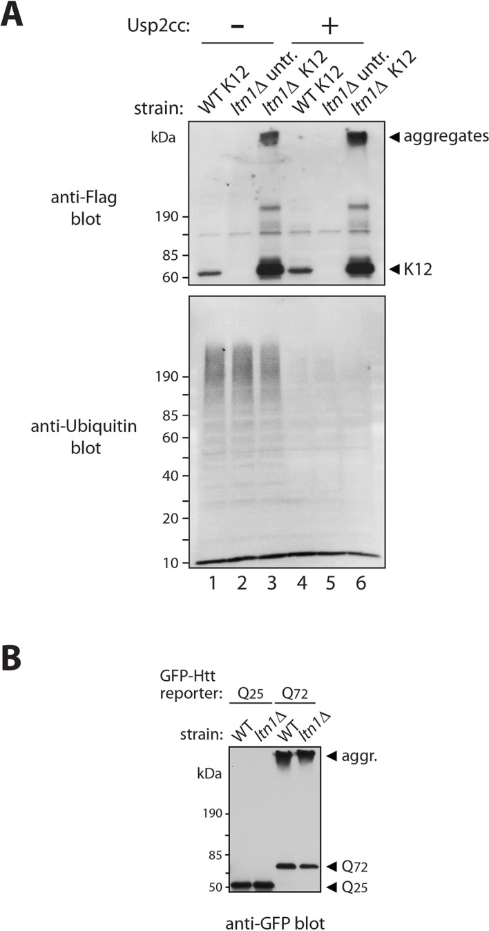 Figure 1—figure supplement 1.